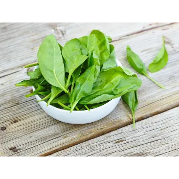 Spinach (8)-4198346-99498.webp
